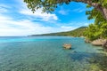 Tropical beach clear view of water, palm, brach tree, beautiful blue sky Royalty Free Stock Photo