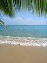 Tropical beach with coconut palm tree leaves, blue sky and ocean wave background.