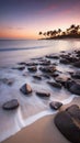 Tropical beach with coconut palm tree at sunset.