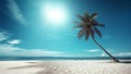 tropical beach with coconut palm trees, sea sand sun, panoramic view with copy space Royalty Free Stock Photo