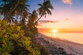 Tropical beach with coconut palms with sunrise or sunset and sea Royalty Free Stock Photo