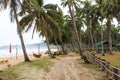 Tropical beach with coconut trees and hammocks Royalty Free Stock Photo