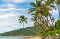 Tropical beach with coconut trees. Koh Samui in Thailand Royalty Free Stock Photo