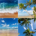 Tropical beach collage Royalty Free Stock Photo