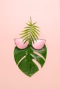 Summer fun concept. Fashionable hipster Monstera in trendy glasses. Creative poster, pink pastel background