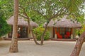 Tropical Beach Cottage with Plenty of Trees on White Fine Sand