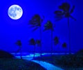 Tropical beach in Cuba at night Royalty Free Stock Photo