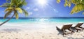 Tropical Beach - Deckchairs With Palm Tree On Coral Sand In Maldives Island Royalty Free Stock Photo