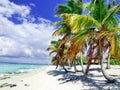Tropical beach in Dominican republic. Caribbean sea