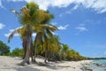 Tropical Beach, Dominican Republic. Royalty Free Stock Photo