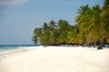 Tropical beach. The Dominican Republic, Saona Island Royalty Free Stock Photo