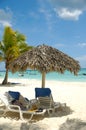 Tropical beach. The Dominican Republic, Saona Island Royalty Free Stock Photo