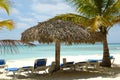 Tropical beach. The Dominican Republic, Saona Island Royalty Free Stock Photo