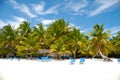 Tropical beach. The Dominican Republic, Saona Island Royalty Free Stock Photo