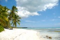 Tropical beach. The Dominican Republic, Saona Island Royalty Free Stock Photo