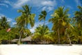 Tropical beach. The Dominican Republic, Saona Island Royalty Free Stock Photo