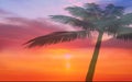 Palm  tropical tree leaves silhouette  on front sunset sky nature landscape concept  background template Royalty Free Stock Photo