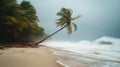 A tropical beach is experiencing a storm, with strong winds causing a palm tree to lean dramatically over the shoreline Royalty Free Stock Photo