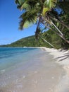 Tropical beach of fijian island, vertical