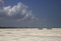 Tropical beach with fishing boats and cloudy sky,Zanzibar,Tanzania Royalty Free Stock Photo