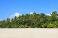 Tropical beach Royalty Free Stock Photo