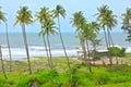 Tropical beach in GOA