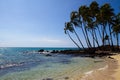 Tropical beach (Hawaii/USA)