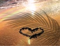 Tropical  beach and heart symbol on sand , palm  leaf shadow on  gold  sunset  light nature landscape  background Royalty Free Stock Photo