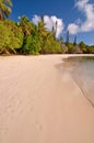 Tropical beach, Isle of Pines Royalty Free Stock Photo