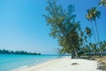 Tropical beach at Koh Kood, Thailand. turquoise sea water, ocean wave, yellow sand, green palms, sun blue sky, white clouds, Royalty Free Stock Photo