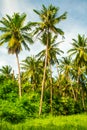 Tropical beach Laem Yai with palms, Koh Samui Island, Thailand Royalty Free Stock Photo