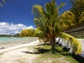 Tropical beach and lagoon, Mauritius Island Royalty Free Stock Photo