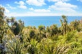 Tropical beach lagoon with palm trees Royalty Free Stock Photo