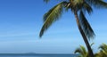 Tropical beach landscape with coconut tree , ocean