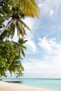 Tropical beach. leaves of palm trees sticking out from the corners of the frame. Palm tree, leaves in front of the blue sea Royalty Free Stock Photo