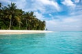 Tropical beach. leaves of palm trees sticking out from the corners of the frame. Palm tree, leaves in front of the blue sea Royalty Free Stock Photo