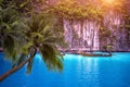 Tropical beach and long boat with palm trees in Phi Phi Island, Krabi Thailand