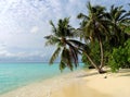 Tropical beach on the Maldives Royalty Free Stock Photo