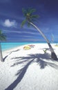 Tropical beach Maldives Royalty Free Stock Photo