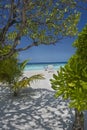 Tropical beach on Maldives Islands