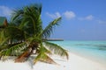 Tropical beach at Maldives , Meeru island Royalty Free Stock Photo