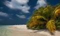 Tropical beach in Maldives.Tropical Paradise at Maldives with palms, sand and blue sky