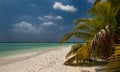 Tropical beach in Maldives.Tropical Paradise at Maldives with palms, sand and blue sky