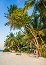Tropical beach in Maldives.Tropical Paradise at Maldives with palms