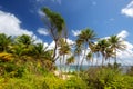 Tropical beach in Martinique, Caribbeans. Anse Michel Cap Chevalier