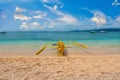 A tropical beach on Mindoro Island in the Philippines. Royalty Free Stock Photo