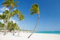 Tropical beach near tourist resort Royalty Free Stock Photo