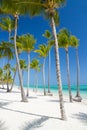 Tropical beach near tourist resort Royalty Free Stock Photo