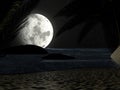 Tropical Beach at Night Moonlight, with Palm trees. Royalty Free Stock Photo