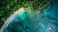 Tropical Beach and Ocean Aerial View Royalty Free Stock Photo